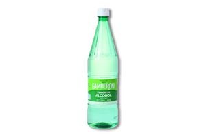 Vinagre De Alcohol Gamberoni De 1 Litro